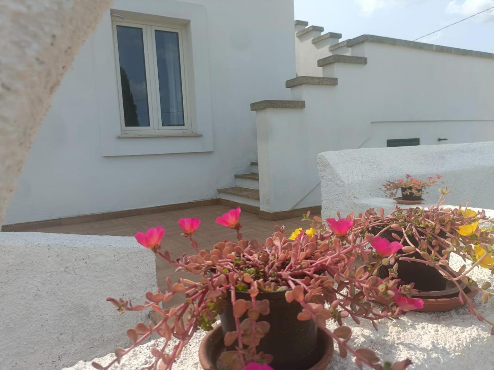 Villa Raffaella Spongano Bagian luar foto